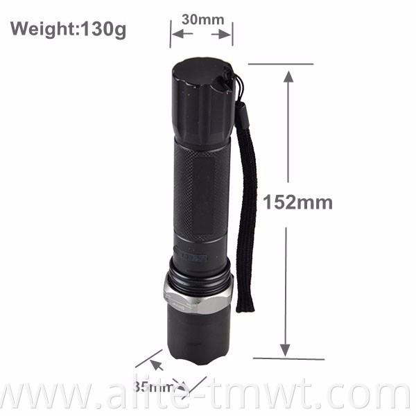 Rechargeable Blacklight Flashlight Ultraviolet LED UV Torch with Zoom